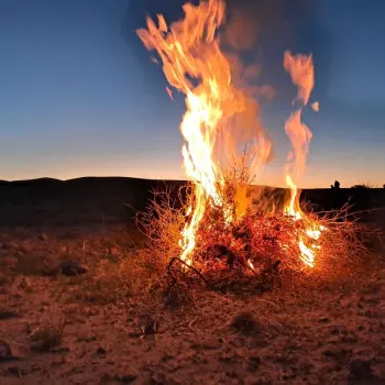 مسلم قره قاشی