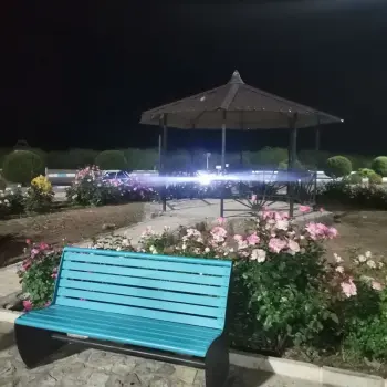 ریحانه
