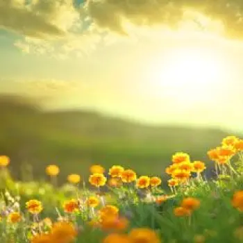 معصومه سعادت قدرتمندترین زن دنیا