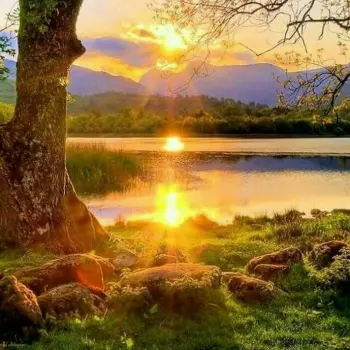 حس برتر حس برتر