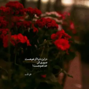 فاطمه داوری