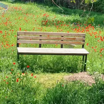 📌🎧واگویه های من .رویا