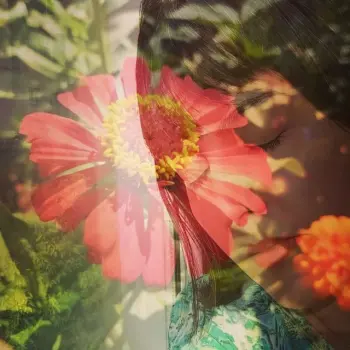 آثار ادبی نجمه پاک باز