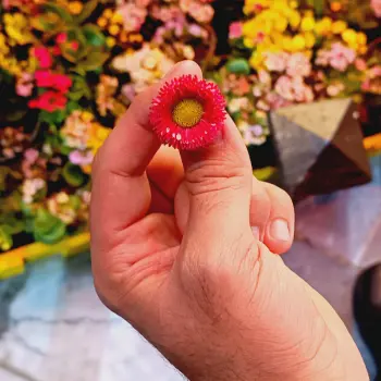 پروفایل گمشده در زیبا متن