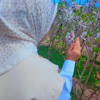 زیـ‌نـ‌بـ
