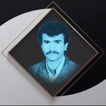 شبنامه های دل