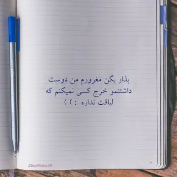 shahinizahra595