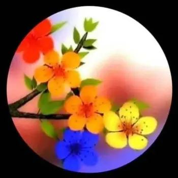 پروفایل Sahand.54_amh در زیبا متن