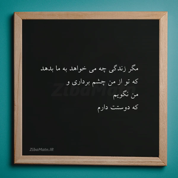 مگر زندگى چه مى خواهد به