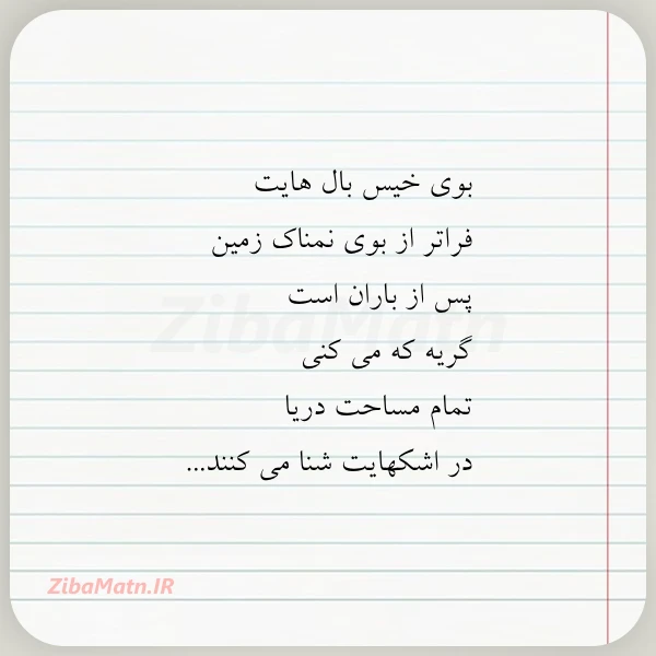 بوی خیس بال هایت فراتر از