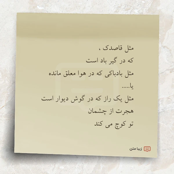 مثل قاصدک که در گیر