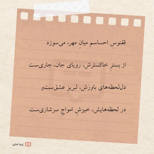 ققنوس احساسم میان مهر می سوزد