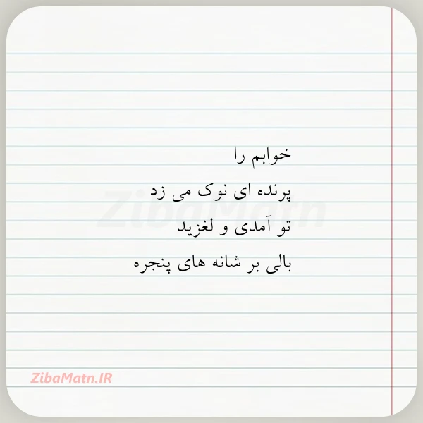 خوابم را پرنده ای نوک می