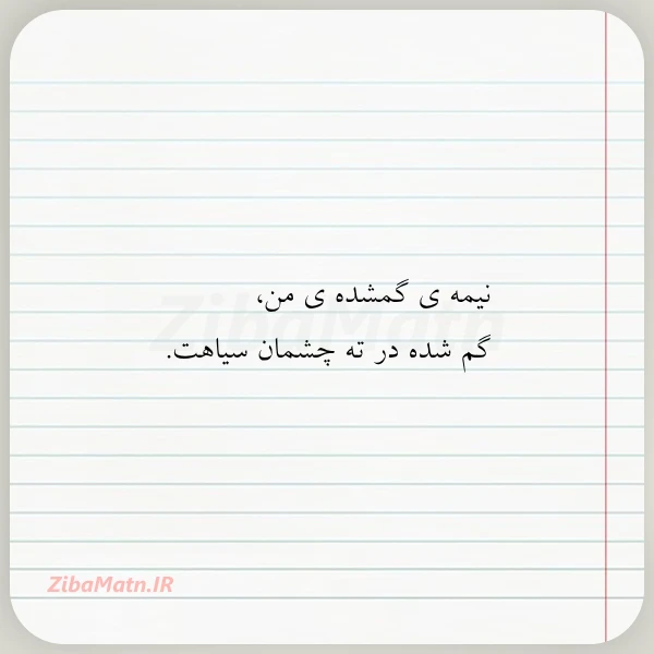 نیمه ی گمشده ی من گم