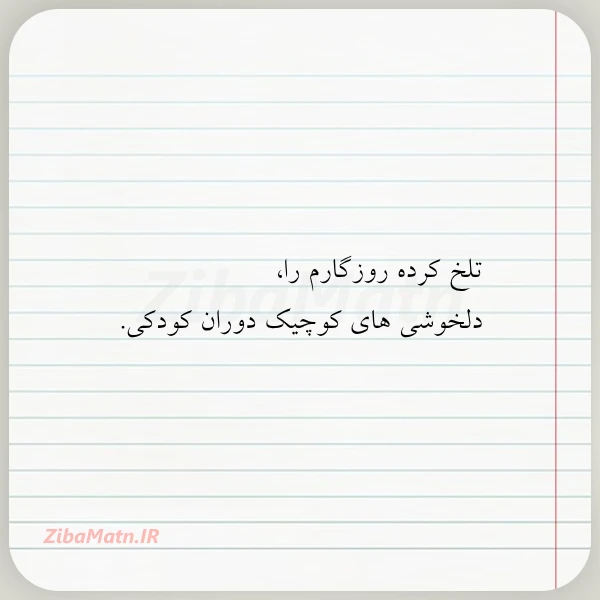 تلخ کرده روزگارم را دلخوشی های