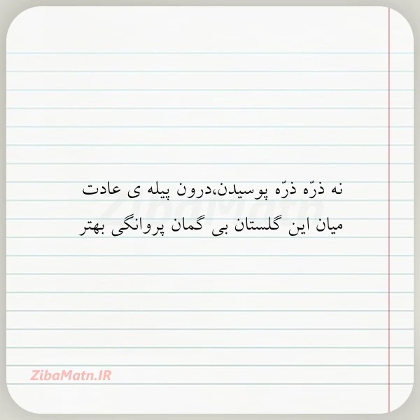 نه ذره ذره پوسیدندرون پیله ی