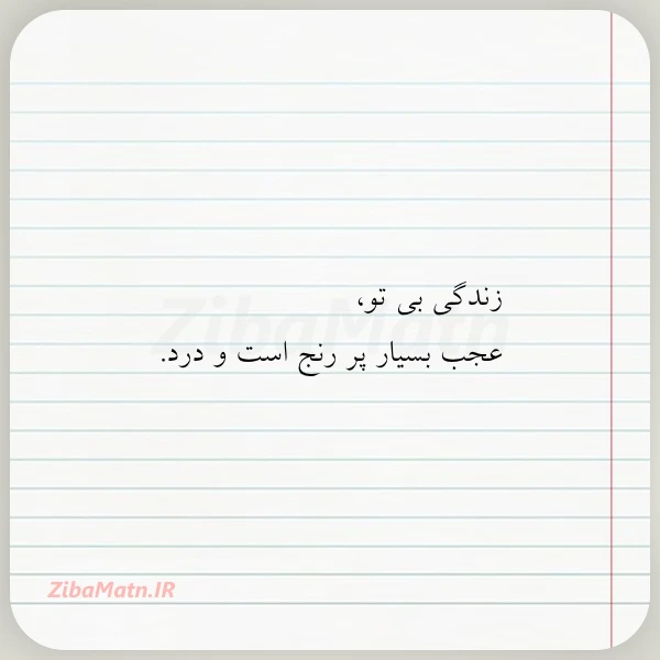 زندگی بی تو عجب بسیار پر