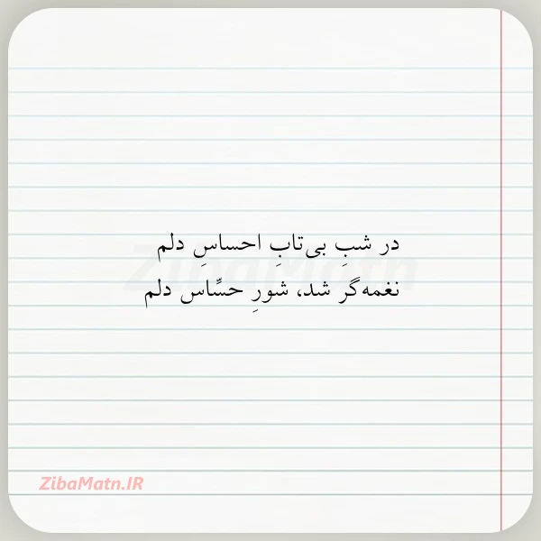 در شب بی تاب احساس دلم