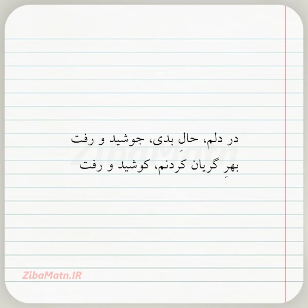 در دلم حال بدی جوشید و