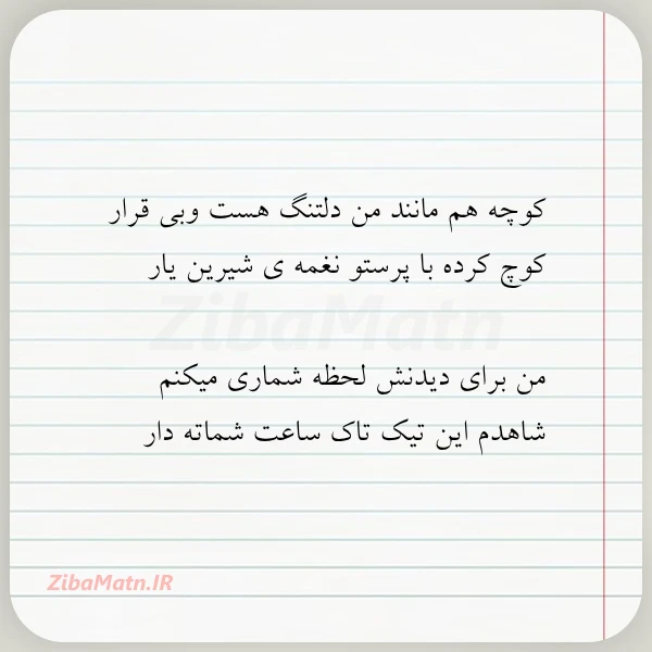 کوچه هم مانند من دلتنگ هست