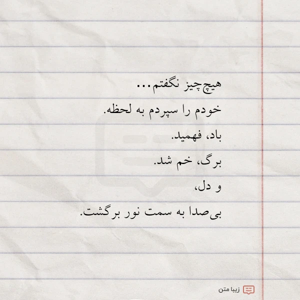 هیچ چیز نگفتم خودم را سپردم