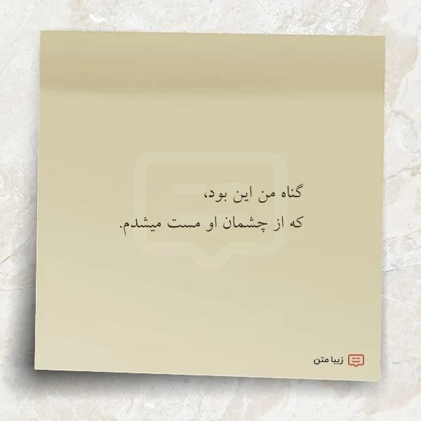 گناه من این بود که از