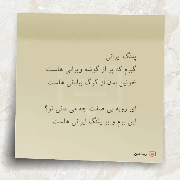 پلنگ ایرانی گیرم که پر از