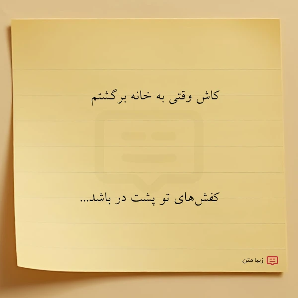 کاش وقتی به خانه برگشتم کفش