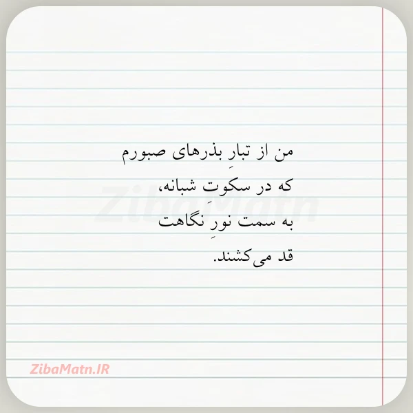 من از تبار بذرهای صبورم که