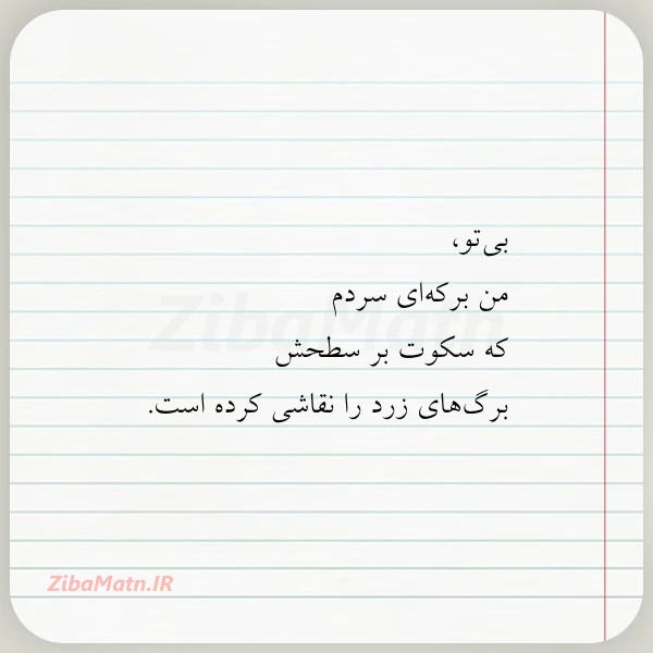 بی تو من برکه ای سردم