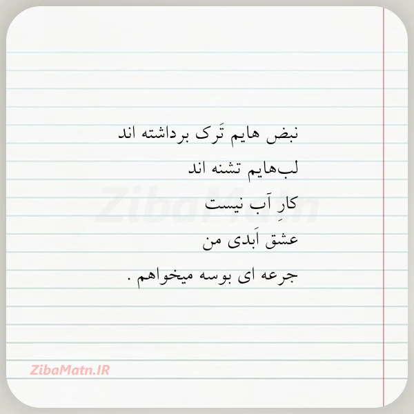 نبض هایم ترک برداشته اند لب