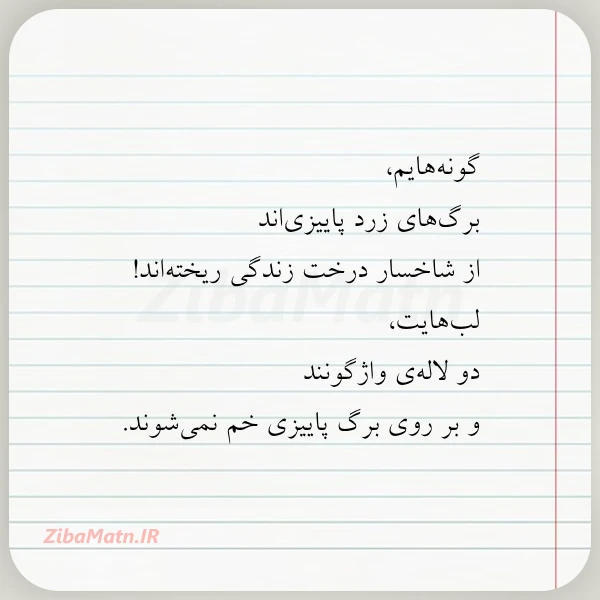 گونه هایم برگ های زرد پاییزی