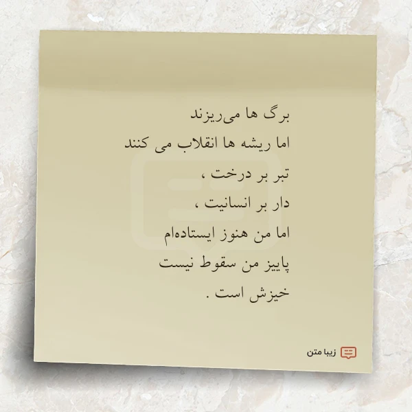 برگ ها می ریزند اما ریشه