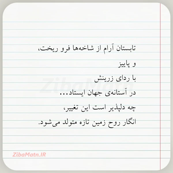 تابستان آرام از شاخه ها فرو