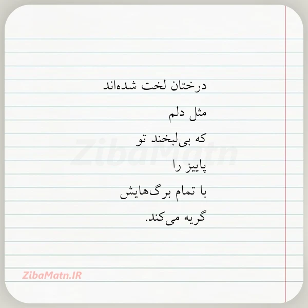 درختان لخت شده اند مثل