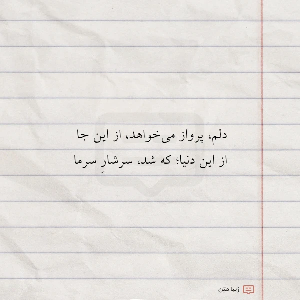 دلم پرواز می خواهد از این