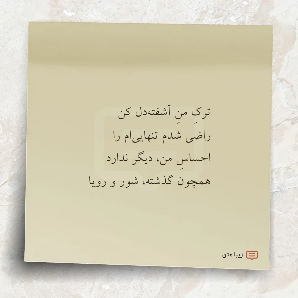 ترک من آشفته دل کن راضی