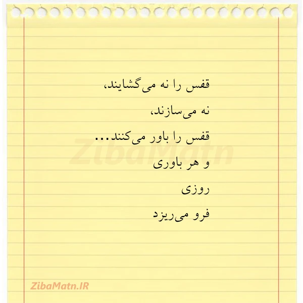 قفس را نه می گشایند نه