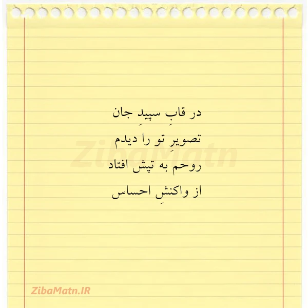 در قاب سپید جان تصویر تو