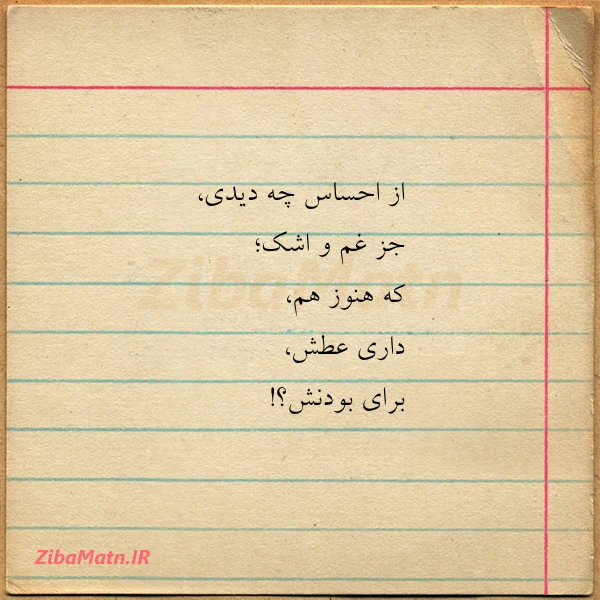 از احساس چه دیدی جز غم