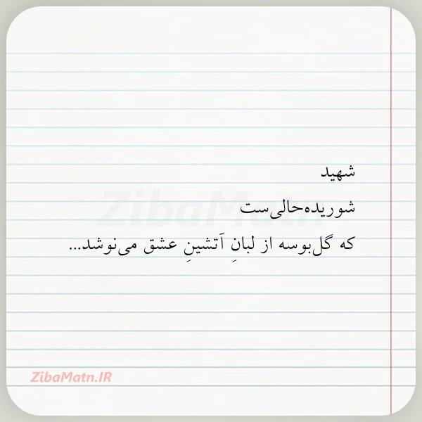 شهید شوریده حالی ست که گل