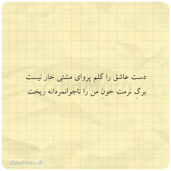 دست عاشق را گلم پروای مشتی