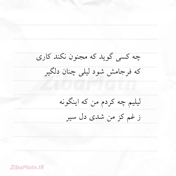 چه کسی گوید که مجنون نکند