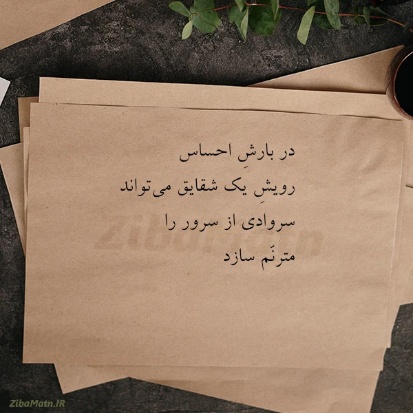 در بارش احساس رویش یک شقایق