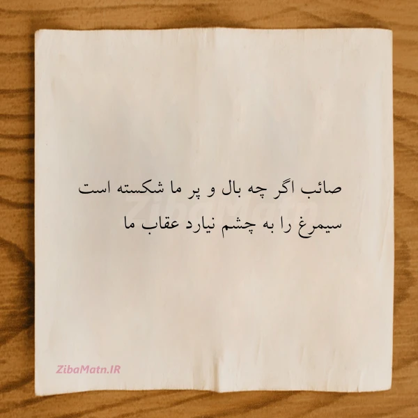 صائب اگر چه بال و پر