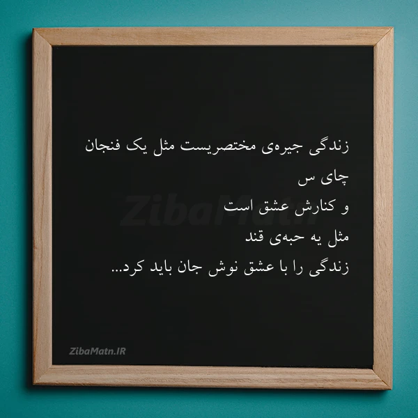 زندگی جیره ی مختصریست مثل یک