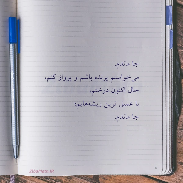 جا ماندم می خواستم پرنده باشم