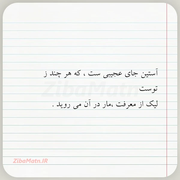 آستین جای عجیبی ست که