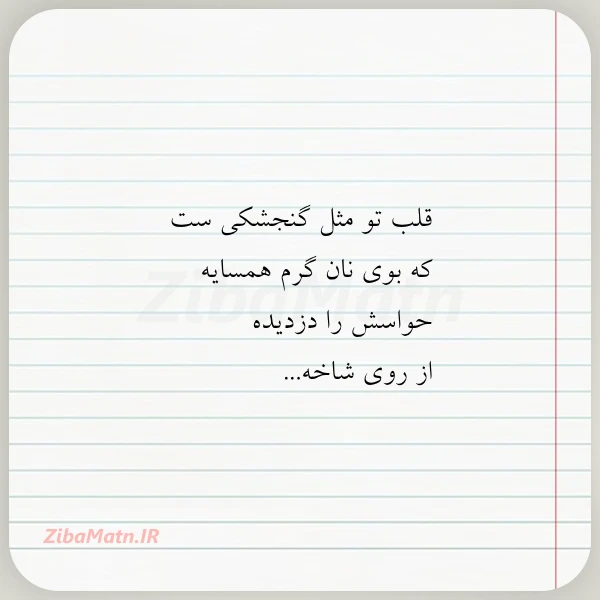 عکس نوشته قلب تو مثل گنجشکی ست که