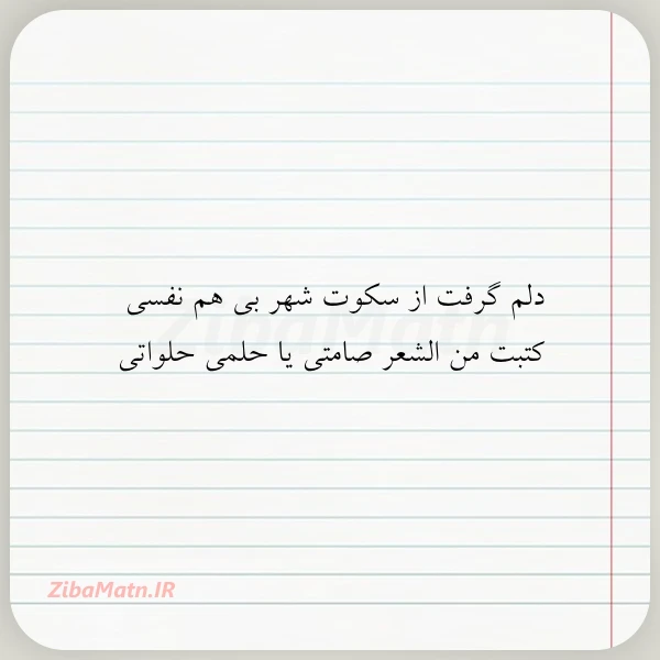 دلم گرفت از سکوت شهر بی